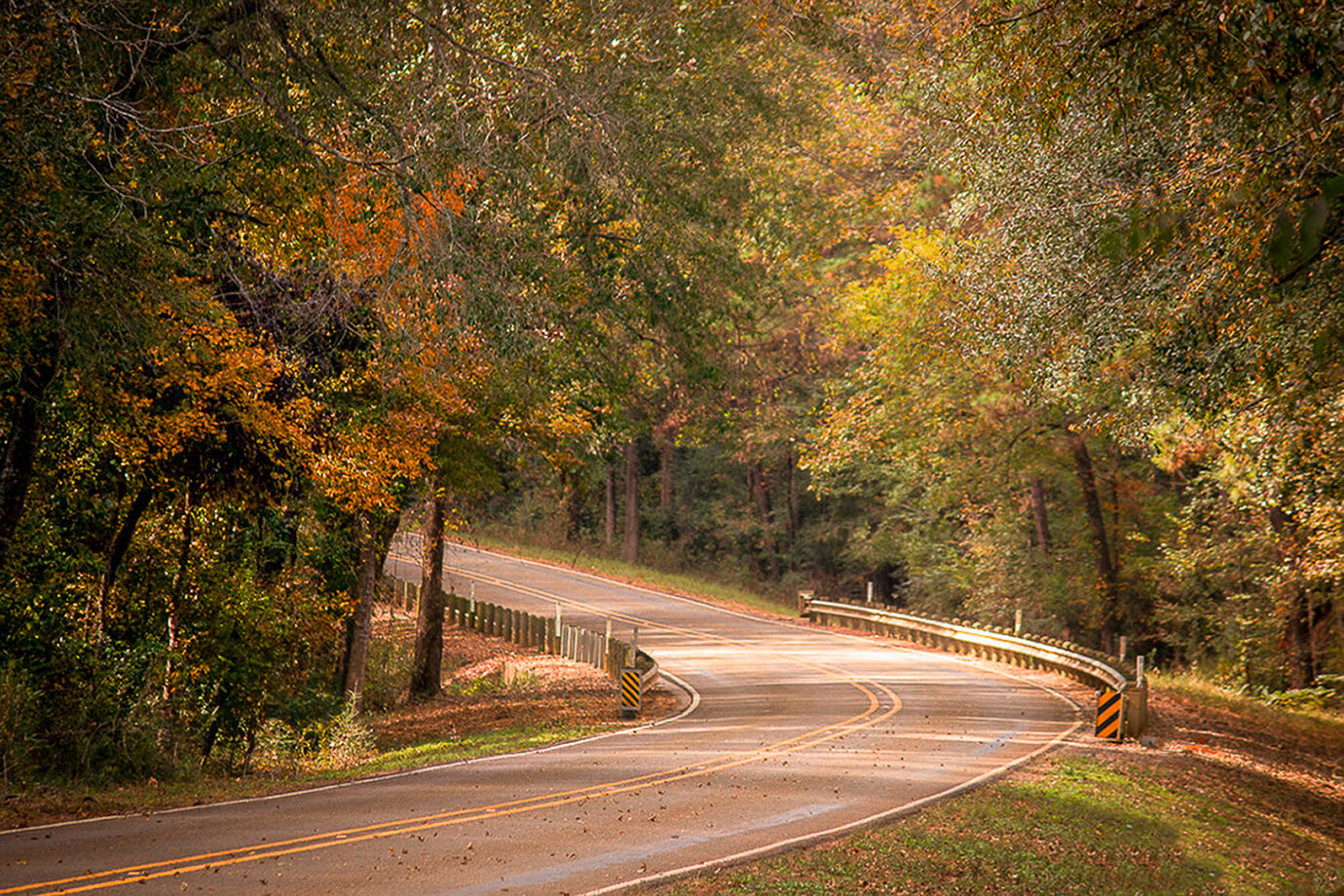 ETX Fall Foliage